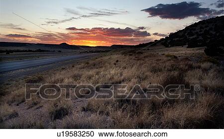 Asphalt road leading into dramatic sunset, with wild sage along roadside, and grey-pink-orange sky at twilight, Utah View Large Photo Image Stock Image - Asphalt road leading into dramatic sunset, with wild sage along roadside, and grey-pink-orange sky at twilight, Utah. Fotosearch