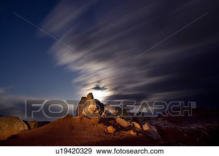 Stock Photo - Butte formation- red rock - against blue night sky, with cloud movement and full moon, mountain range beyond, Utah. Fotosearch