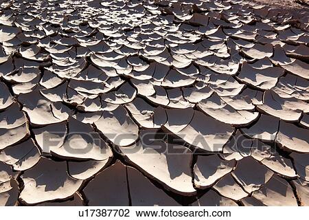 Detail of dried mud crusted on road, forming textured pattern, Buckhorn Draw, Utah View Large Photo Image Stock Image - Detail of dried mud crusted on road, forming textured pattern, Buckhorn Draw, Utah. Fotosearch