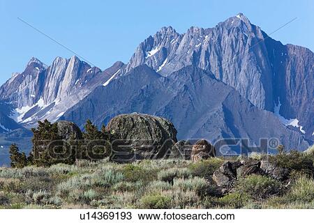 Erratics and bushes on hillside, with Sierra Nevada mountain range, and clear blue sky, in early morning of summer View Large Photo Image Stock Image - Erratics and bushes on hillside, with Sierra Nevada mountain range, and clear blue sky, in early morning of summer. Fotosearch