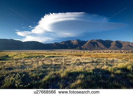 Stock Photograph - Grassy flatlands near Owens River, with Sierra Nevada mountain range in distance, and dramatic lenticular cloud formation in evening sky. Fotosearch