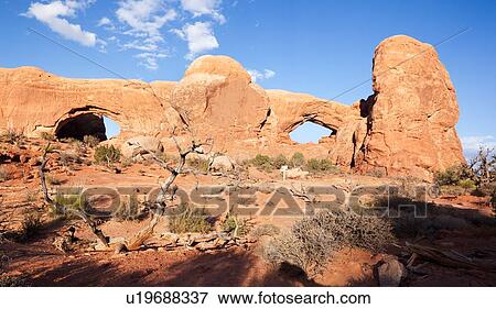 Stock Photo - North and South Arch panorama view in late afternoon fall sunlight, with blue sky, Arches, Utah. Fotosearch