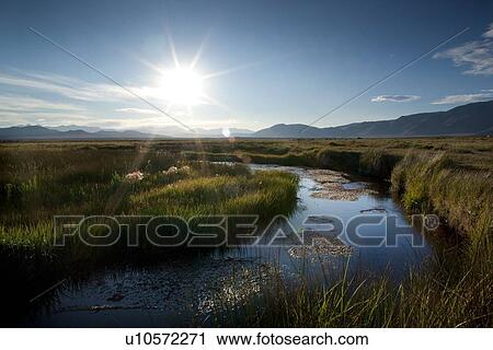 Stock Image - Owens River curving through grassy flatlands with sunstar in blue sky, and Sierra Nevada mountain range in distance, on a summer evening. Fotosearch