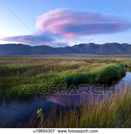 Owens River curving through grassy flatlands with dramatic pink lenticular clouds, reflected in the water, and Sierra Nevada mountain range in distance, on a summer evening View Large Photo Image Stock Photo - Owens River curving through grassy flatlands with dramatic pink lenticular clouds, reflected in the water, and Sierra Nevada mountain range in distance, on a summer evening. Fotosearch