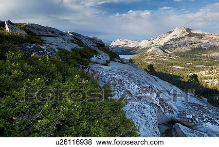 Panorama at Olmsted Point with pines in foreground along granite ridge, and blue summer afternoon sky, with dramatic cloud formation, Yosemite View Large Photo Image Stock Photo - Panorama at Olmsted Point with pines in foreground along granite ridge, and blue summer afternoon sky, with dramatic cloud formation, Yosemite. Fotosearch