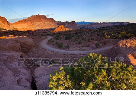 Picture - Panorama at Panorama Point, Utah, sunset light on red mountain rock, winding road, green bush in foreground, with full moon rising,. Fotosearch