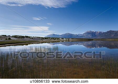 Stock Image - Panorama image of Alpine Lake, with reflection of Sierra Nevada mountain range, and blue summer morning sky, marshes in foreground. Fotosearch