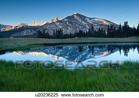 Panorama of Dana Lakes at dawn with snow-tipped mountain range reflected in still waters, marshland foreground, Yosemite View Large Photo Image Stock Photography - Panorama of Dana Lakes at dawn with snow-tipped mountain range reflected in still waters, marshland foreground, Yosemite. Fotosearch
