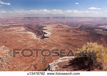 Panorama of immense valley, Buck Canyon Overlook, with foreground bushes, extending miles to deep crevice formation, sunny fall morning, Utah View Large Photo Image Stock Image - Panorama of immense valley, Buck Canyon Overlook, with foreground bushes, extending miles to deep crevice formation, sunny fall morning, Utah. Fotosearch