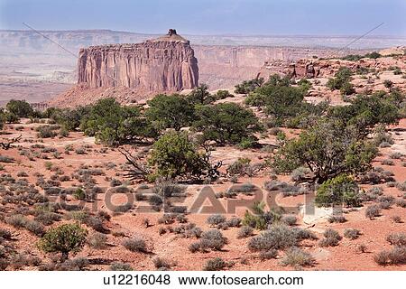Panorama of valley, Candlestick Butte, with foreground bushes, and red soil, sunny fall morning, Utah View Large Photo Image Stock Photo - Panorama of valley, Candlestick Butte, with foreground bushes, and red soil, sunny fall morning, Utah. Fotosearch