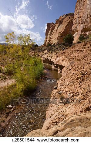 Picture - Pleasant Valley, river with aspens alongside, steep rocky slope to mountains, blue sky, white puffy clouds, green trees in foreground, Utah. Fotosearch