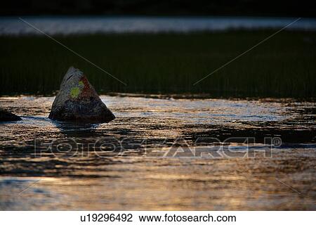Reflection of golden dawn sunlight in river detail, Sierra Nevada View Large Photo Image Stock Image - Reflection of golden dawn sunlight in river detail, Sierra Nevada. Fotosearch