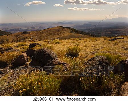 Stock Image - Rocky overlook with yellow flowers, valley beyond, distant mountains, blue sky with fluffy white clouds, fall morning, Utah. Fotosearch
