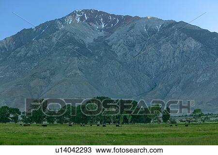Stock Image - Sierra Nevada mountain range against a summer evening blue sky, with greenery of grassland and trees in forerground. Fotosearch