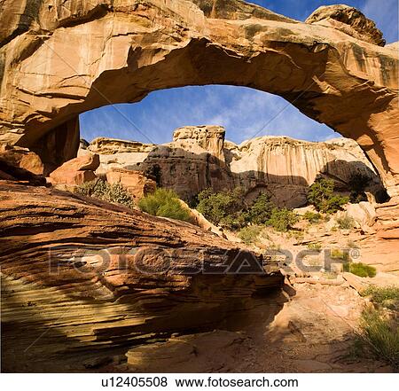 Stock Photo - Stitched view of Hickman Bridge, Utah, in early morning light, golden rock against blue sky and fluffy clouds, with distant mountains seen through arch. Fotosearch