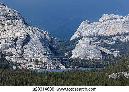 Threatening skies in late summer afternoon over Olmsted Point, with mountain range and lake, and pine trees in foreground, Yosemite View Large Photo Image Stock Photo - Threatening skies in late summer afternoon over Olmsted Point, with mountain range and lake, and pine trees in foreground, Yosemite. Fotosearch