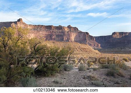 View of Bottleneck Mountain, and mountain range nearby, bushes in foreground, San Rafael Swell on sunny fall morning with blue sky and puffy white clouds, Buckhorn Draw, Utah View Large Photo Image Stock Photograph - View of Bottleneck Mountain, and mountain range nearby, bushes in foreground, San Rafael Swell on sunny fall morning with blue sky and puffy white clouds, Buckhorn Draw, Utah. Fotosearch