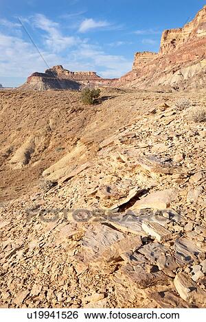 Stock Photograph - View of Bottleneck Mountain, San Rafael Swell on sunny fall morning with blue sky and puffy white clouds, track winding along rocky ridge, Buckhorn Draw, Utah. Fotosearch
