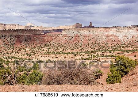 View of Family Butte, with foreground green shrubs, and expanse of rock formations beyond, blue sky, fluffy white clouds, on lovely fall afternoon, Utah View Large Photo Image Stock Photo - View of Family Butte, with foreground green shrubs, and expanse of rock formations beyond, blue sky, fluffy white clouds, on lovely fall afternoon, Utah. Fotosearch