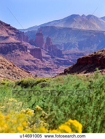 View of Fisher Tower butte through valley with flowering yellow sage brush, green bushes and blue mountain range and sky beyond, sunny fall afternoon, Utah View Large Photo Image Stock Photography - View of Fisher Tower butte through valley with flowering yellow sage brush, green bushes and blue mountain range and sky beyond, sunny fall afternoon, Utah. Fotosearch