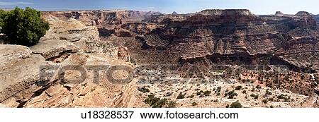 Stock Photo - View of Grand Canyon, Wedge Overlook, Utah on sunny fall morning, oblique panorama view of ravin and tree in foreground. Fotosearch