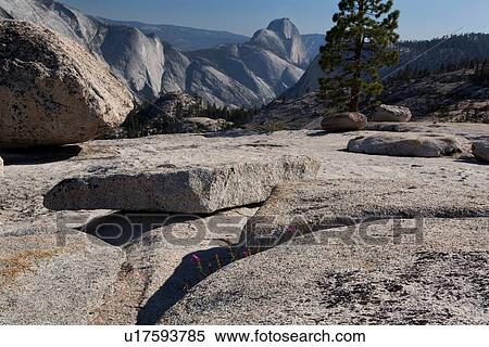 View of Half Dome in late afternoon summer sunlight, across granite trail, Olmsted Point, Yosemite View Large Photo Image Stock Photography - View of Half Dome in late afternoon summer sunlight, across granite trail, Olmsted Point, Yosemite. Fotosearch