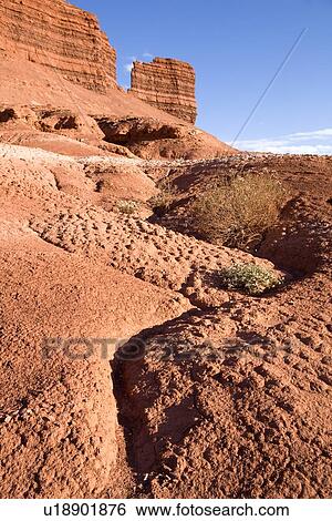 Stock Photograph - Winding gullies leading to red butte formations in Reds Canyon, with blue sky and white clouds, Utah. Fotosearch