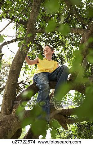 Picture - Boy Sitting in Tree. Fotosearch