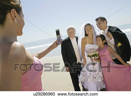 Bridesmaid photographing newly weds with family on beach View Large Photo Image Stock Image - Bridesmaid photographing newly weds with family on beach. Fotosearch
