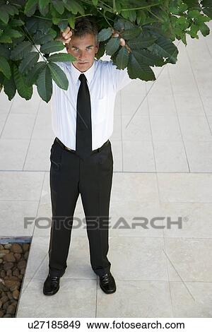 Businessman standing under tree, outdoors, portrait View Large Photo Image Stock Photo - Businessman standing under tree, outdoors, portrait. Fotosearch