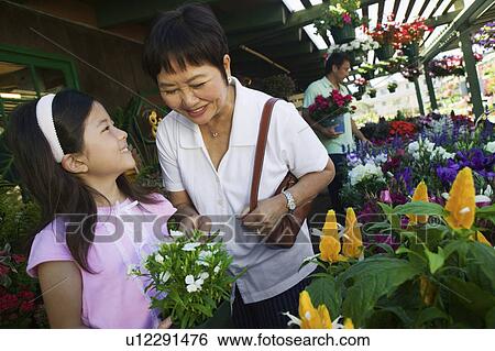 Grandmother and granddaughter in plant nursery View Large Photo Image Stock Photograph - Grandmother and granddaughter in plant nursery. Fotosearch