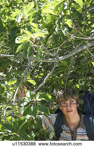 Stock Photo - Portrait of teenage boy (13-15 years) walking in forest carrying backpack. Fotosearch