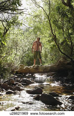 Teenage boy (16-17 years) standing on tree trunk above stream, looking up View Large Photo Image Stock Photo - Teenage boy (16-17 years) standing on tree trunk above stream, looking up. Fotosearch