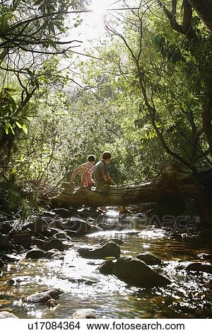 Two teenage boys (16-17 years) sitting on tree trunk by stream in forest, back view View Large Photo Image Picture - Two teenage boys (16-17 years) sitting on tree trunk by stream in forest, back view. Fotosearch