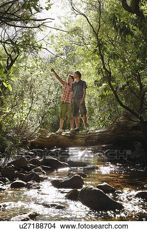 Two teenage boys (16-17 years) standing on tree trunk above stream, one pointing, looking up View Large Photo Image Picture - Two teenage boys (16-17 years) standing on tree trunk above stream, one pointing, looking up. Fotosearch