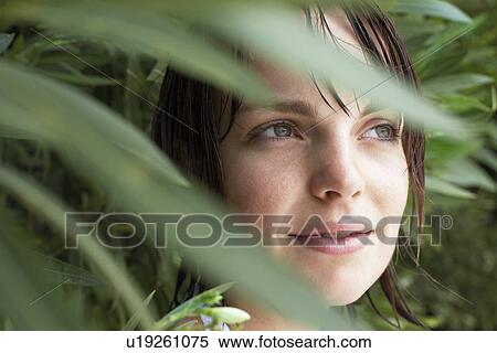 Woman hiding in foliage, close-up View Large Photo Image Stock Photography - Woman hiding in foliage, close-up. Fotosearch