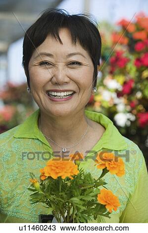 Woman Holding Flowers in plant nursery, portrait View Large Photo Image Stock Image - Woman Holding Flowers in plant nursery, portrait. Fotosearch