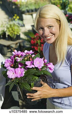 Woman Holding Flowers in plant nursery, portrait View Large Photo Image Stock Photography - Woman Holding Flowers in plant nursery, portrait. Fotosearch