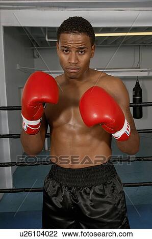 Boxer View Large Photo Image Stock Image - Boxer. Fotosearch