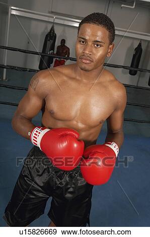 Boxer View Large Photo Image Stock Photo - Boxer. Fotosearch