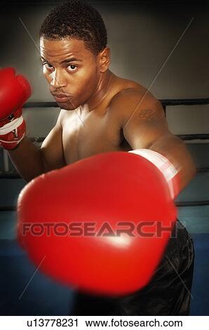 Boxer with red boxing gloves View Large Photo Image Stock Image - Boxer with red boxing gloves. Fotosearch