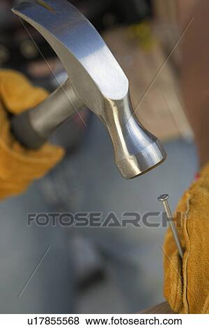 Construction Worker wearing leather gloves, hammering nail, close-up View Large Photo Image Stock Photo - Construction Worker wearing leather gloves, hammering nail, close-up. Fotosearch