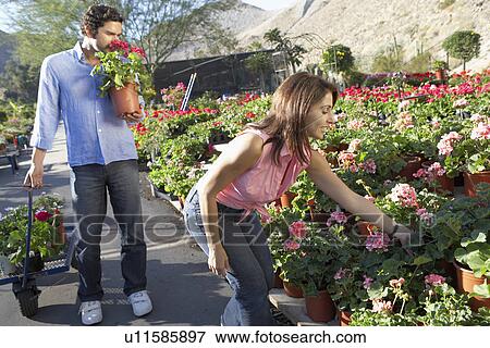 Couple choosing plants at nursery View Large Photo Image Stock Photo - Couple choosing plants at nursery. Fotosearch