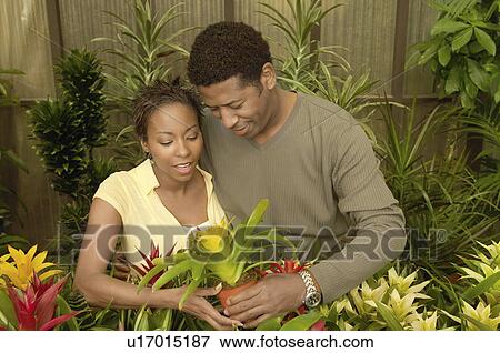 Stock Photo - Couple selecting plants at nursery. Fotosearch