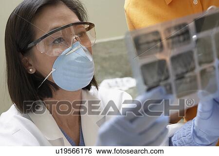 Stock Photograph - Female dentist and patient examining X-rays, (close-up). Fotosearch