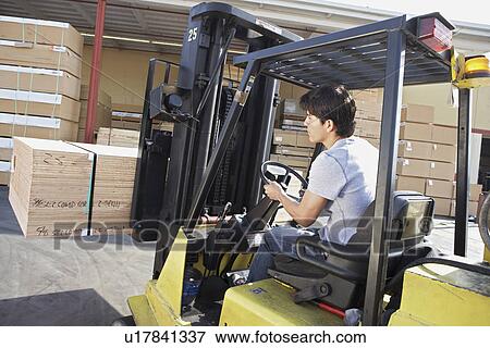 Stock Photo - Man operating forklift outside, rear view. Fotosearch