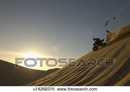 Stock Photography - Men riding quad bikes in desert at sunset. Fotosearch