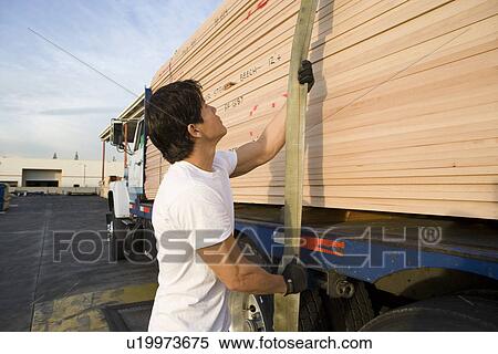 Stock Photography - Mid-adult man adjusting strapping of truck loaded with wood. Fotosearch