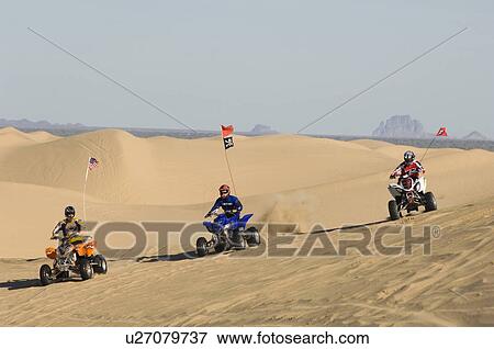 Three Young Men Riding ATVs on Dunes View Large Photo Image Stock Photo - Three Young Men Riding ATVs on Dunes. Fotosearch