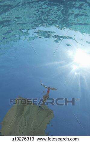 View of diver on board from underwater View Large Photo Image Stock Image - View of diver on board from underwater. Fotosearch